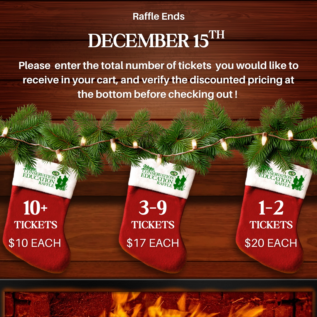 2025 MCER Holiday Raffle Ticket